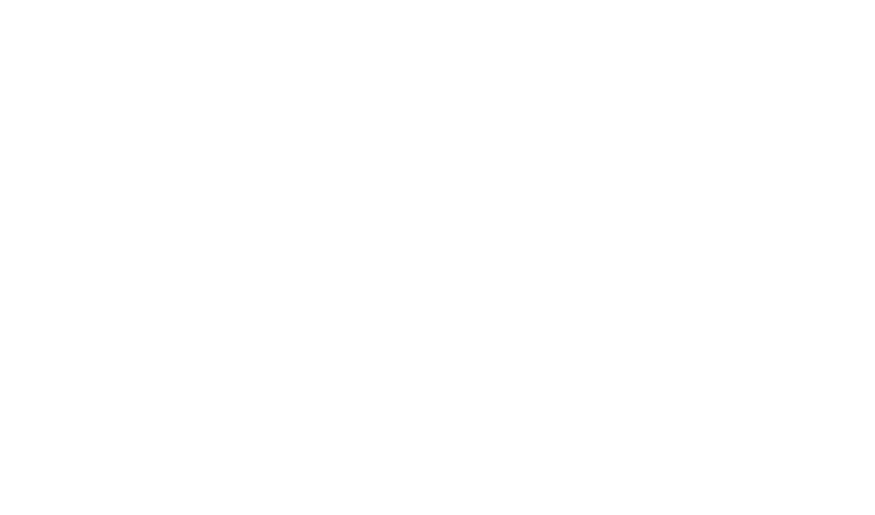 Skate Story (White Logo)